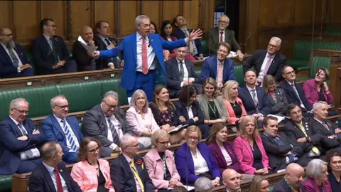 Nigel Farage with arms aloft in Commons, surrounded by seated Lib Dem MPs