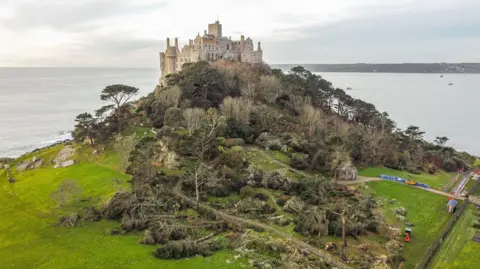 Hugh Hastings/Getty Images An aerial view of St Michael's Mount in Cornwall, with damaged and uprooted trees in the foreground