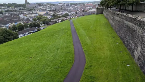 The Friends of Derry's Walls A grass bank in Derry that slopes from the city's wall on the right to the houses in the bogside area on the left