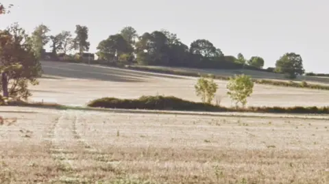 Agricultural land with trees in the distance