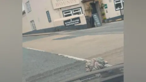 Nic Cole A pile of intestines in the road outside a pub called the Hare and Hounds