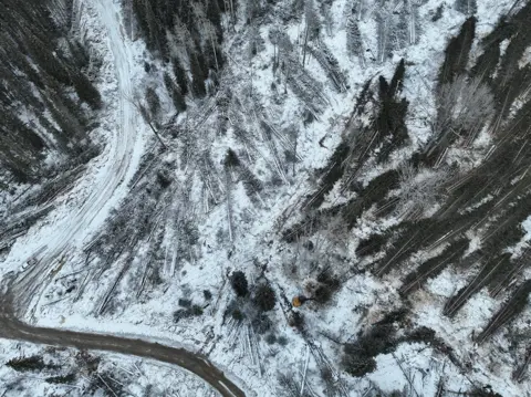 Conservation North/Bulkley Valley Stewardship Co Drone footage of deforested area in BC