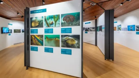 Chris George Part of the photography exhibition