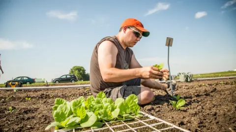 L. Brian Stauffer GM crop