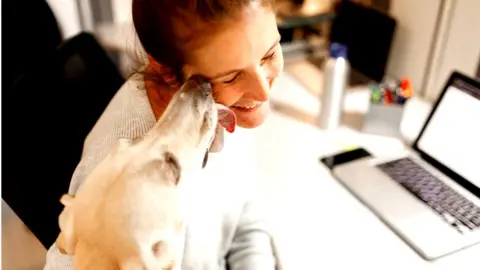 Getty Images Dog licking owner's face