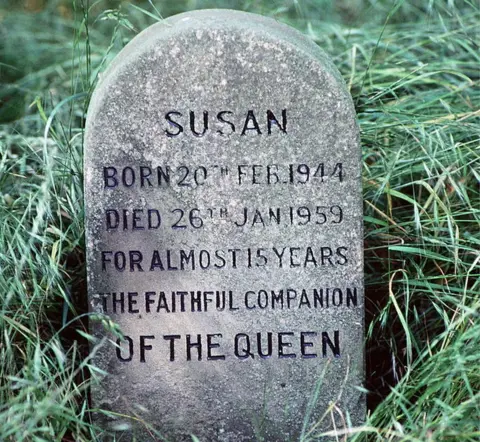 Tim Graham Photo Library via Getty Images Susan's gravestone in the pet cemetery at Sandringham. It reads: 'Susan - born 20th Feb 1944. Died 26th Jan 1959. For almost 15 years the faithful companion of the queen'