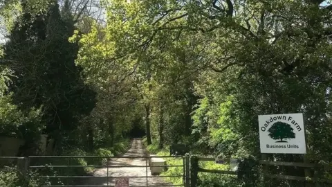 CAGE Trees at Oakdown Farm