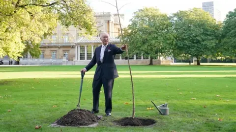 PA Media The King planted a common lime tree in Buckingham Palace garden after hosting the reception