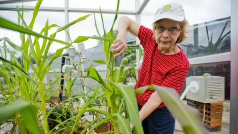 Smithsonian  Dolores Piperno