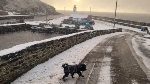 Graeme Smythe Snow in Lybster, Caithness, Highlands, featuring Kivu the dog on 19 November 2025, Scotland, UK.