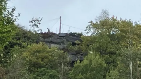 BBC The side of the cliff where the dog is trapped 