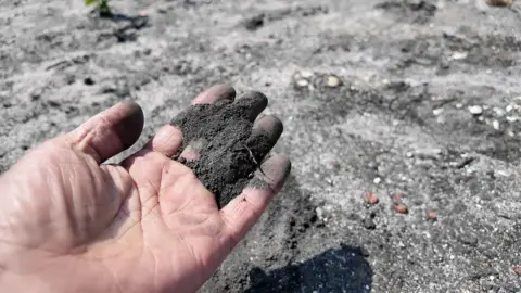 A hand lets black ash and sand slip through it's fingers with no signs of regrowth in large parts of the heathland 