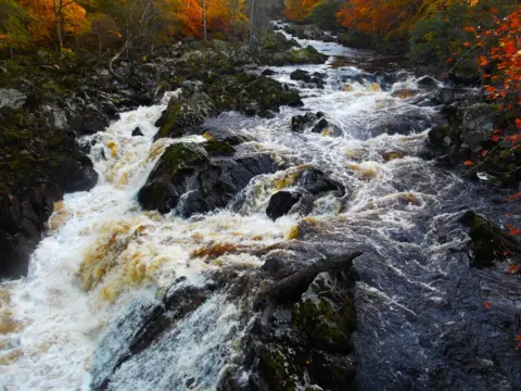 Abdullah Babatunde A fast-flowing river or series of rapids running through a rocky woodland landscape, with water cascading down the rocks.