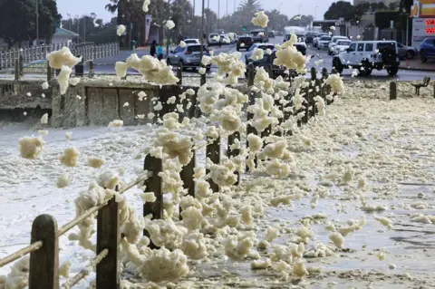 ESA ALEXANDER / REUTERS Sea foam is seen next to a fence in Three Anchor Bay.