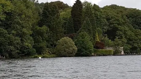 Windermere lakeside before the trees were felled