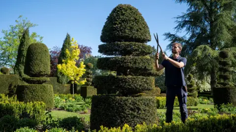 PA Media Ryan Bowden in blue overalls type top and trousers, snipping at a hedge in a garden with lots of trees around him. The sky is clear and blue.
