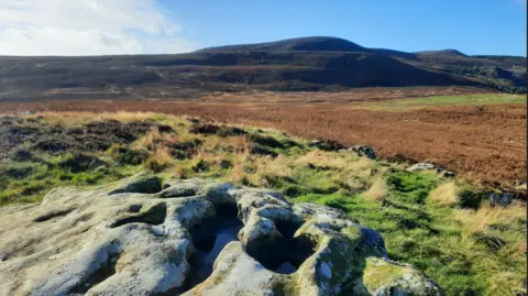 Duncan Hutt The Simonside Hills are in the centre rising in a dome shape and covered with brown bracken. In the foreground is a stone with water gathering in holes.