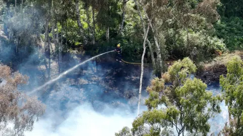 A large green space on fire with grey plumes of smoke and a firefighter in a blue uniform and yellow helmet using a hosepipe to put the fire out.