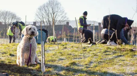 A dog is is sitting on frosty grass. In the background, people are busy planting trees.