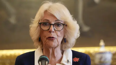 Queen Camilla speaking at St James's Palace