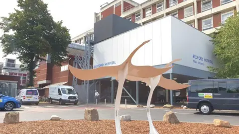 Bedfordshire Hospitals NHS Foundation Trust The main entrance at Bedford Hospital with vans and cars outside. There is a roundabout in the foreground with swan like statues on it.