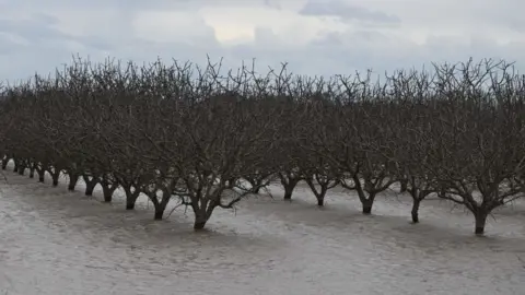 Getty Images California floods