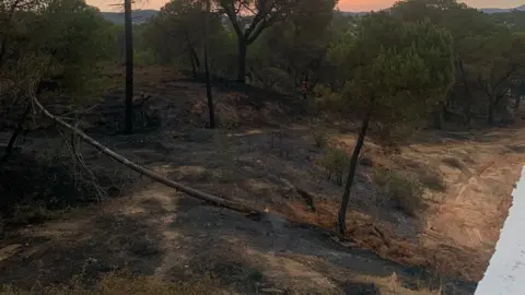 Millie Farley Fire near villa