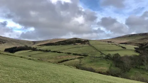 GRAHAM MAKEPEACE-WARNE Creg y Cowin Farm, large agricultural fields on a hilly terrain, with pockets of trees already on the site