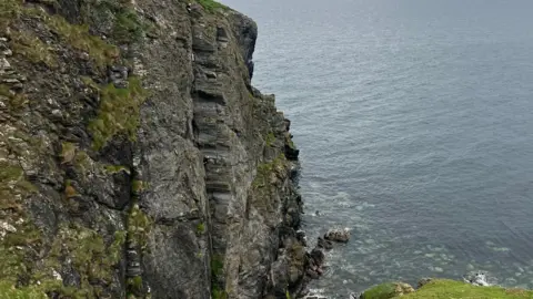 KATE FOX A steep cliff face that goes into the sea you can see two people dangling along the cliff face as they rescue the bird.