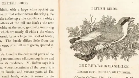 Sotheby's Bewick's History of British Birds, which was made famous in Charlotte Bronte's Jane Eyre