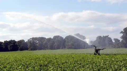 Getty Images irrigation