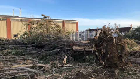 Greencore Factory site in Evercreech. A chopped down tree is on the ground, in front of a metal fence. Buildings can be seen in the distance.