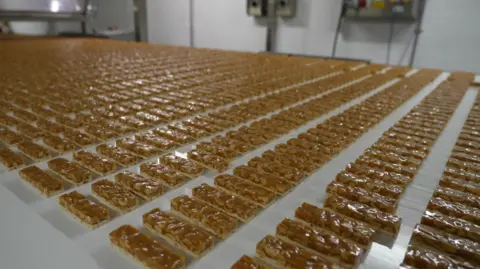 Rows of Snickers bars on a conveyor belt, the caramel and peanuts can be seen, the chocolate covering has not yet been added