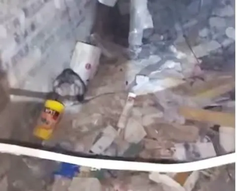 SSPCA A cat sits in a rubble-strewn basement in a low-quality video grab