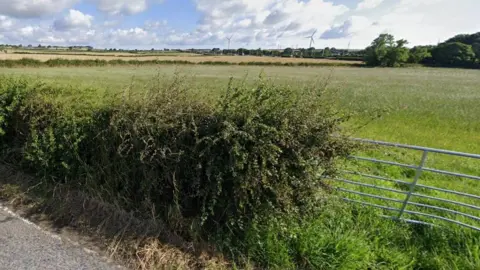 A field with hedges around the edge.