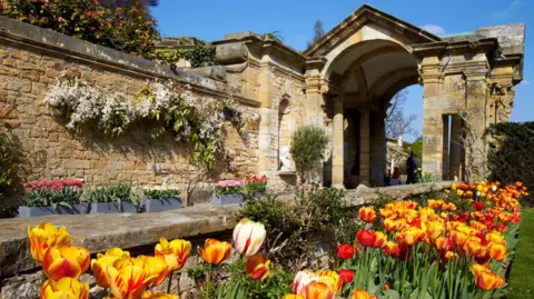 Hever Castle Flowers at Hever Castle