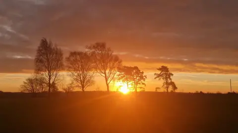 Andy B A sun rising through the trees near Cam in Gloucestershire with an orange sky causing a shadow like effect on the trees.