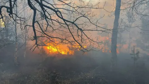 DWFRS St Catherine's Hill near Christchurch