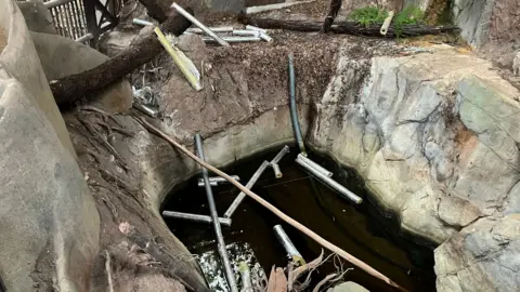 An empty animal enclosure with a pond. Lots of damaged insulation and pipework is strewn across the floor.