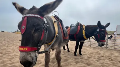 Kevin Shoesmith/BBC Donkeys on Skegness beach