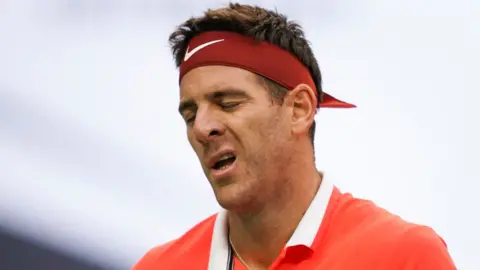 Juan Martin del Potro