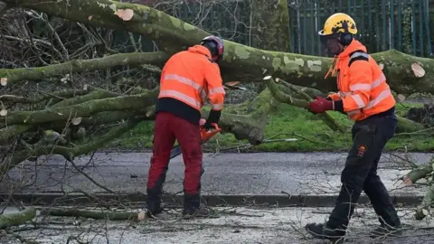 Pacemaker Two men, wearing orange hi-vis jackets and helmets, cut down a fallen tree on a road. 