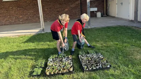 Cucumber PR Two boys, both with long blonde hair and wearing red tops with black and yellow scarves are leaning over, watering plants with dark green watering cans. The plants are small and in two trays, with little tubes around them to separate them from one another