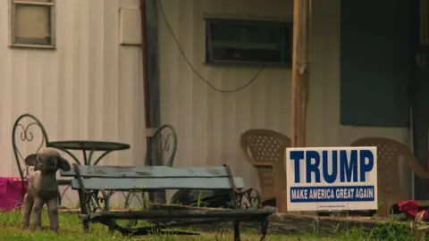 Michael Hirst Trump poster