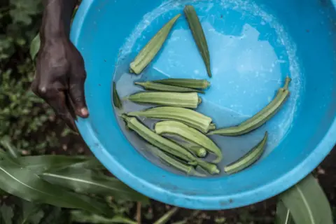 Tommy Trenchard Okra in a bowl