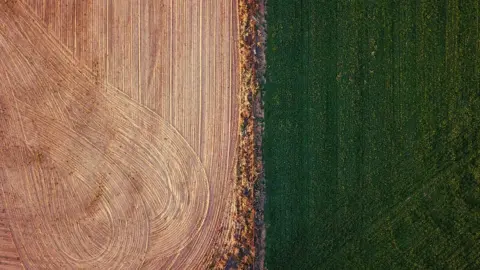 Reuters An irrigated paddock can be seen next to a ploughed paddock on a farm located on the outskirts of the town of Mudgee