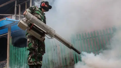 Getty Images Insecticide fogging