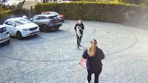 Two women running to help cat