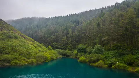 Getty Images Stunning blue resevoir surrounded by a forest