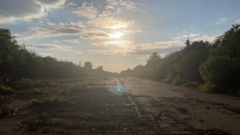 South Kesteven District Council It is dusk and the sun is beaming down on an old runway which has grass growing through it and bushes either side.